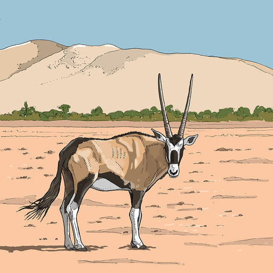 Gemsbok